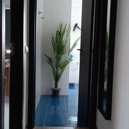 Friendly Peniche Apartment