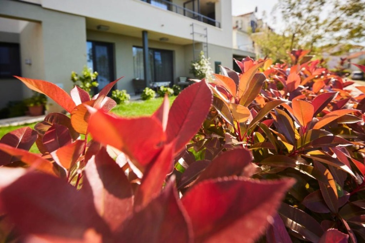 Apartment with balcony