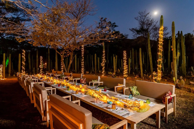 JW Marriott Guanacaste Resort & Spa photo 16