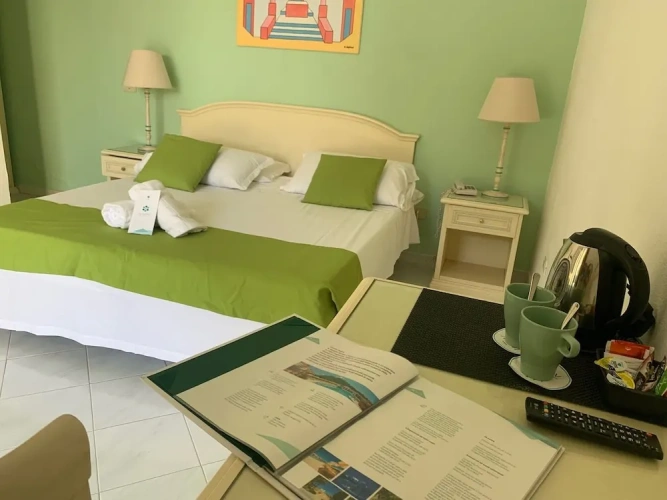 Standard Double room with balcony and with garden view