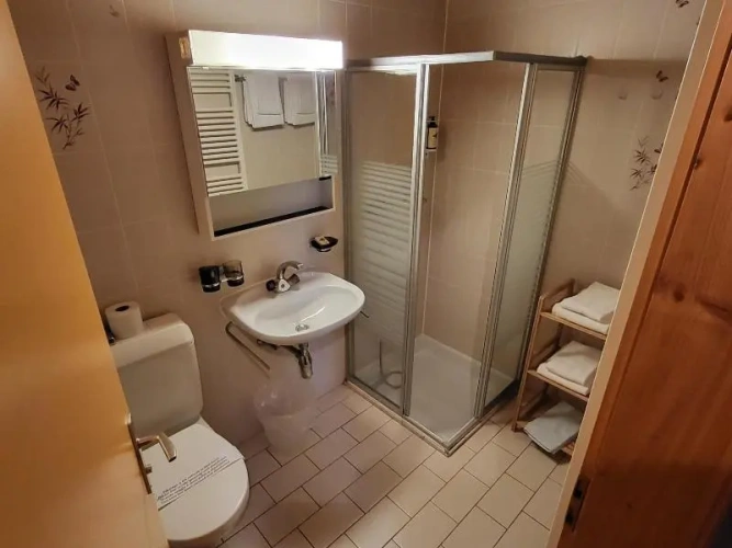 Standard Twin room with balcony and with mountain view