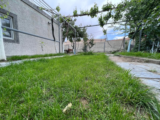 Sunny garden