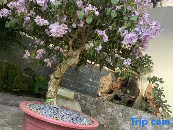 Pushe Homestay