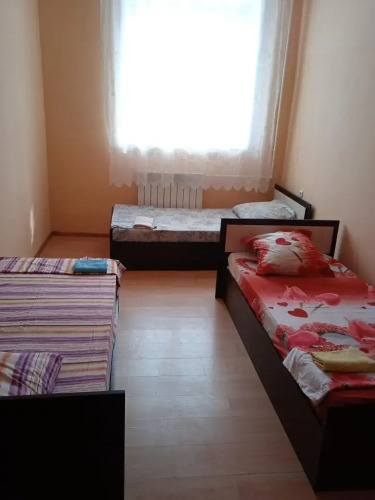 Фотография номера гостиницы Ромашка