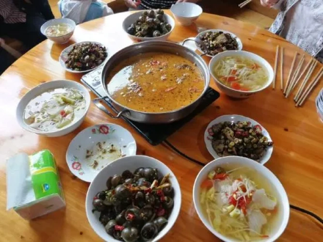 Meal