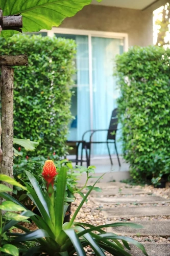 Standard Double room with balcony and with garden view