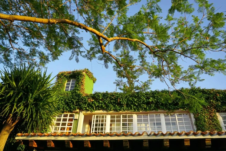 La Casa Verde