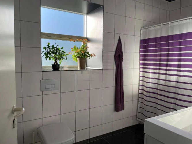 B&B Fryden Ly