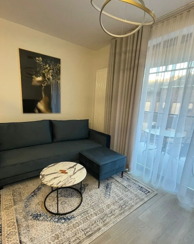 1 Bedroom Comfort Apartment with balcony