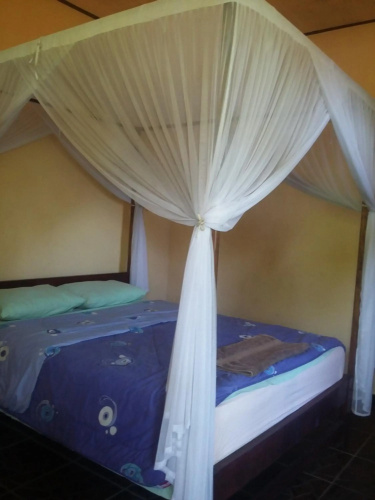Surya homestay