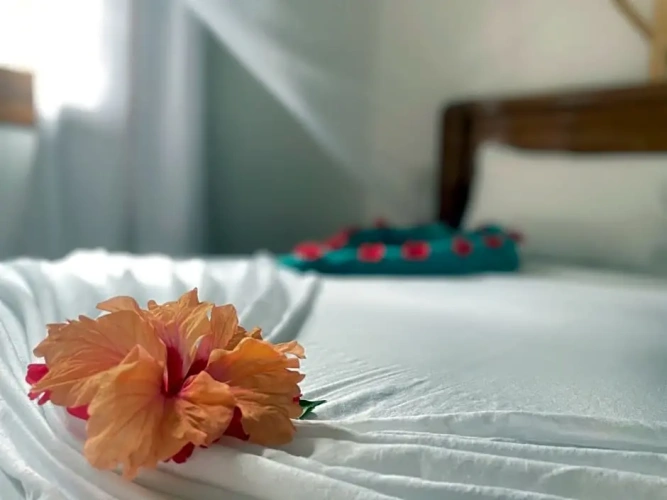 Comfort room