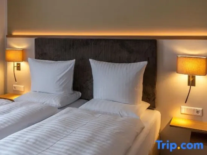 Comfort Suite