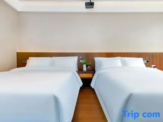 Standard Twin room with mountain view