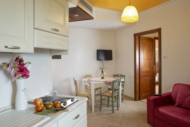 1 Bedroom Comfort Apartment