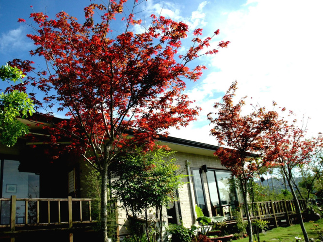 JingLu B&B
