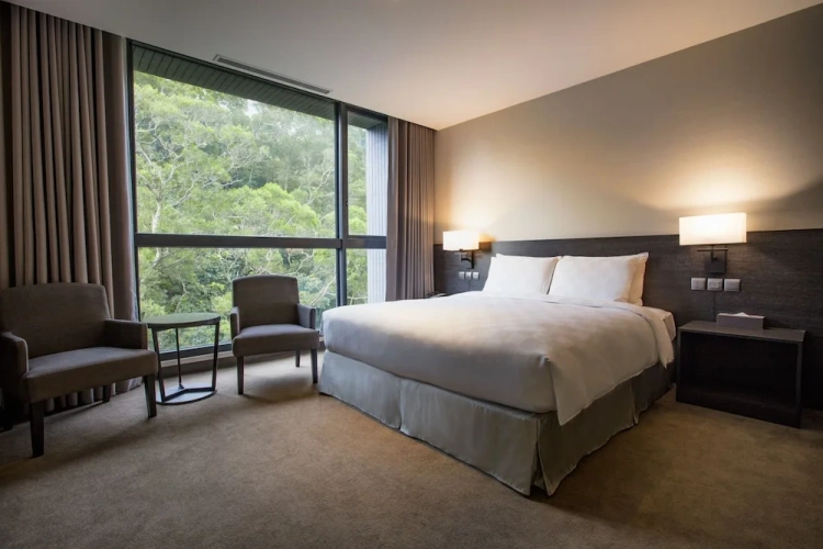 Premium Single room