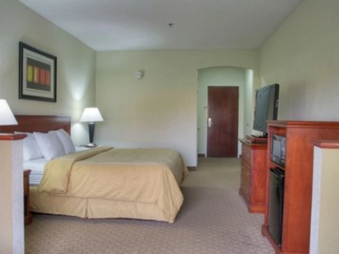 1 Bedroom Suite