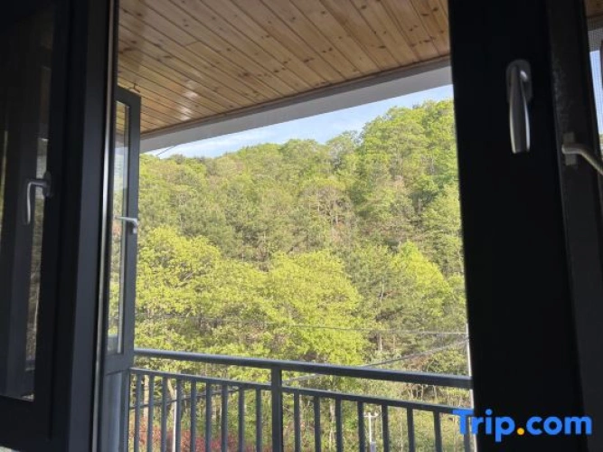 Standard room with mountain view