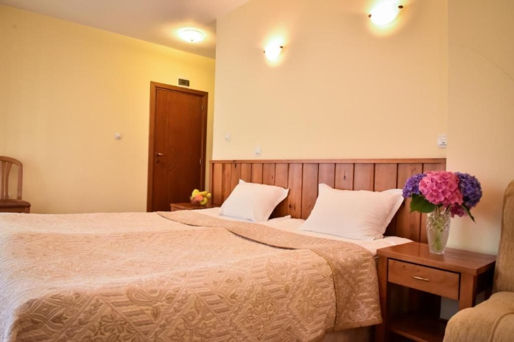 Standard Double room with balcony and with view