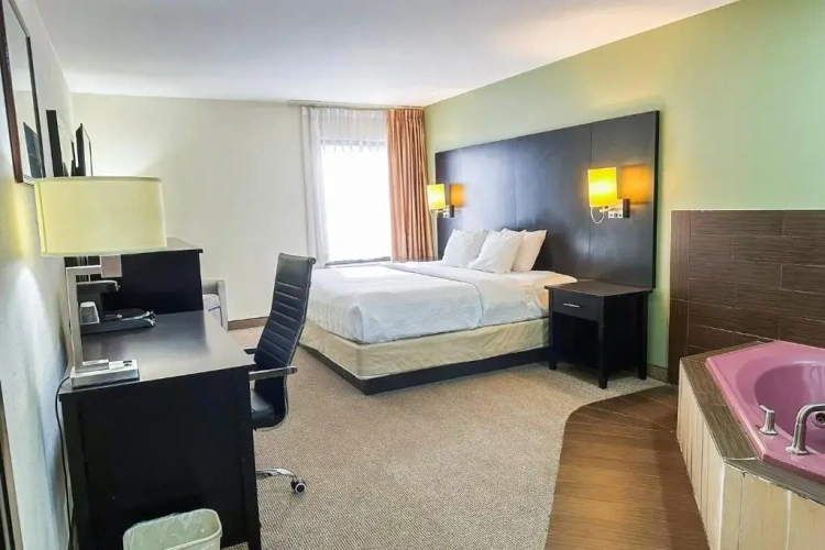 1 Bedroom Suite