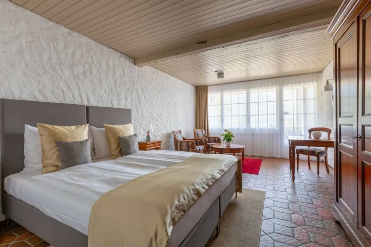 Standard Double room with lake view