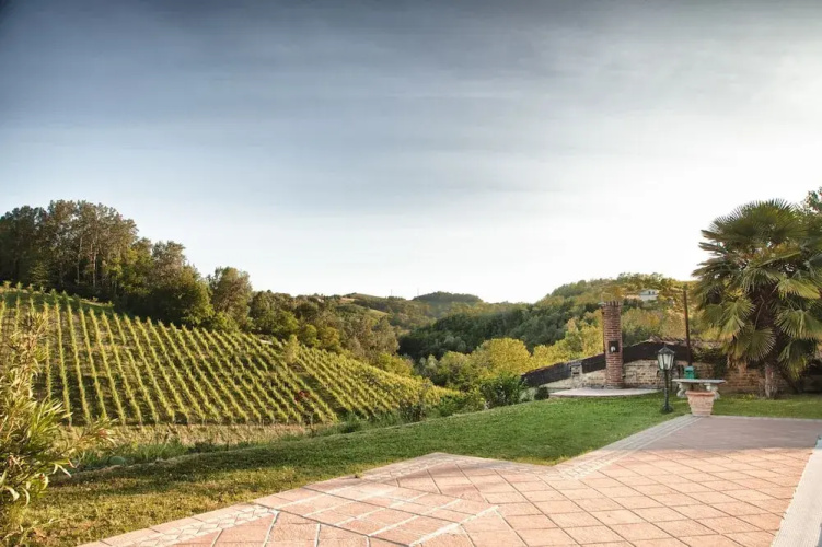 Vineyard House Noceto Michelotti