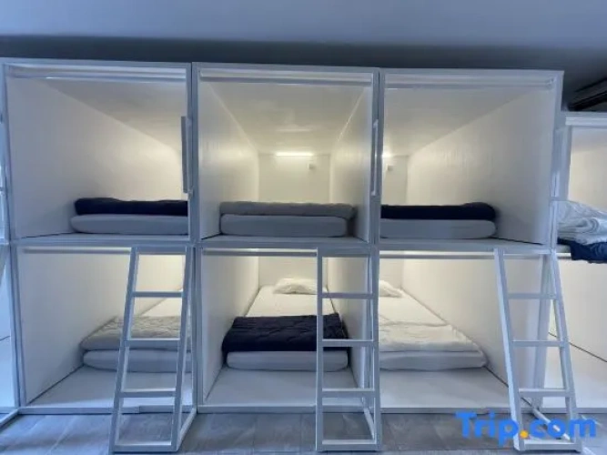 Bed in Dorm