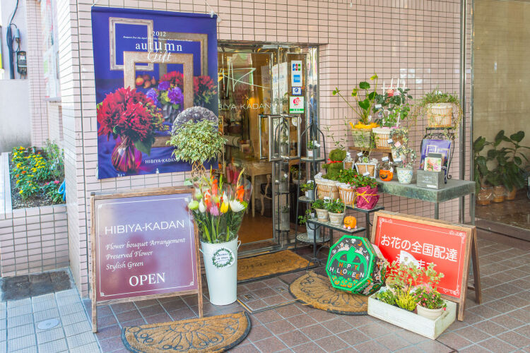 Kagoshima Tokyu REI Hotel Over view
