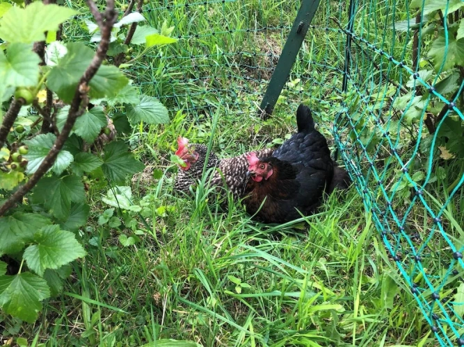 Outside