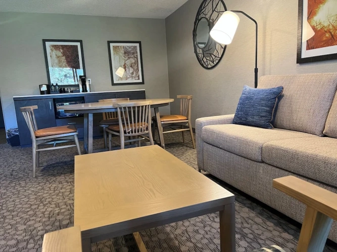 1 Bedroom Suite