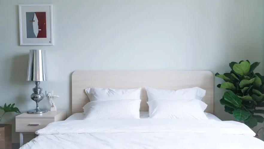 Cactus space- Sanlitun Artistic Elegance Apartment