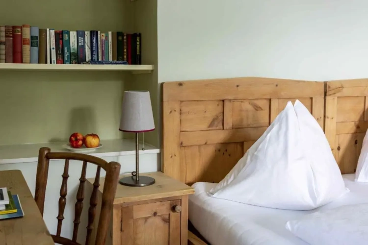 Standard Double room with mountain view