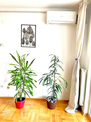 Vintage Bucharest apartment