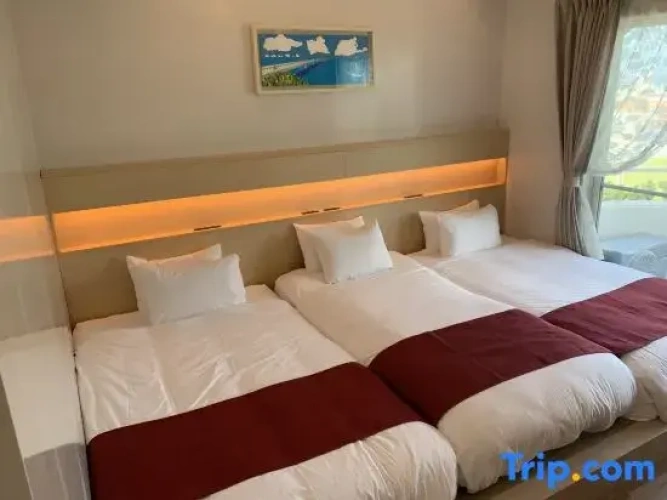 Standard Twin Family room