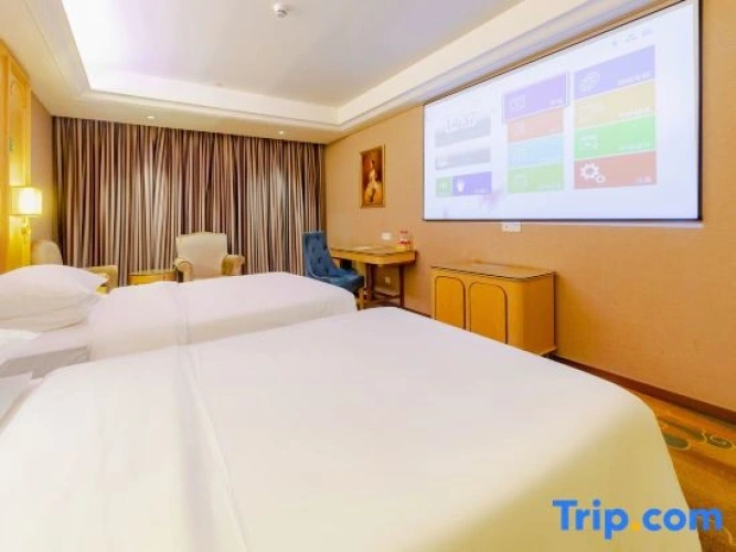 Deluxe Double room with street view