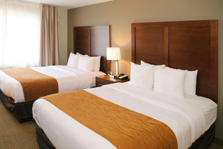 Quadruple Suite
