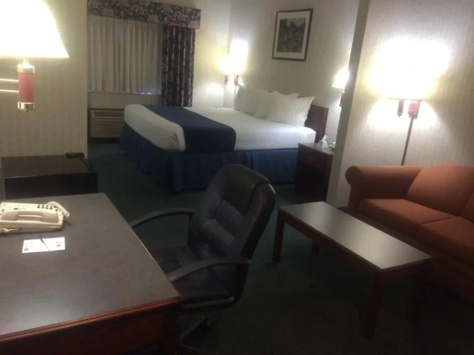 Suite
