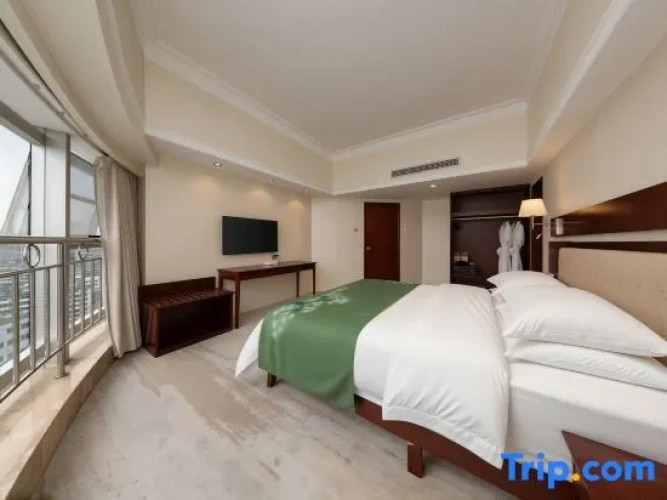 Comfort Suite