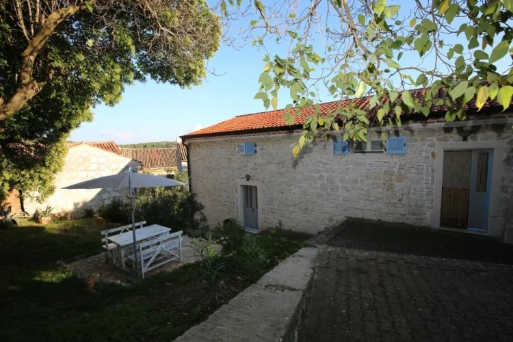 Apartment with garden view