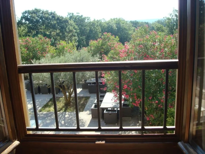 Standard Double room with view