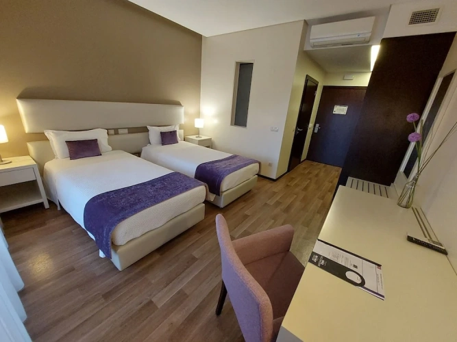 Standard Double room with balcony and with city view