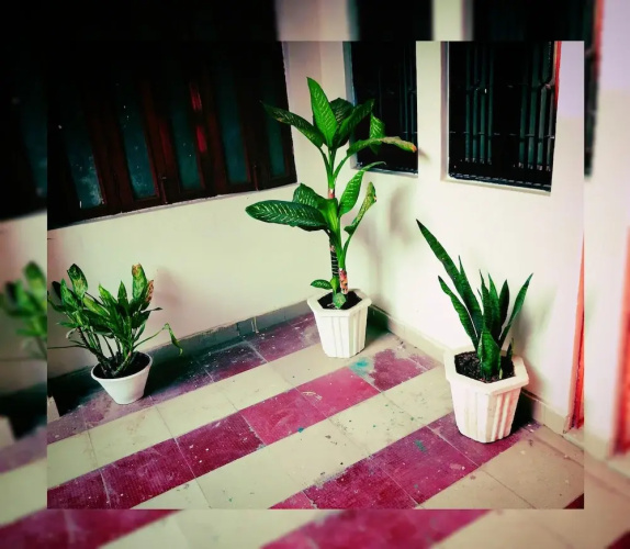 Kashyaam Inn