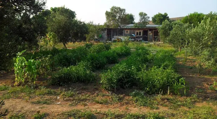 Bozcaada Pension Bag Evi