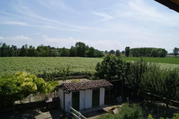 Standard Double room with garden view