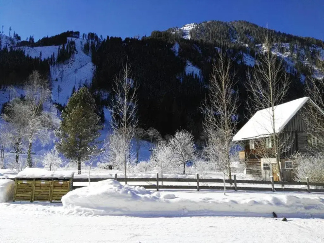Ferienhaus Trinker