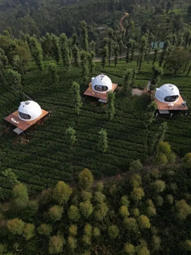 Vythiri Tea Valley