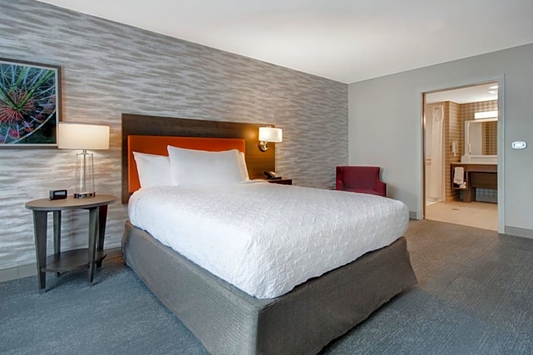1 Bedroom Double Suite