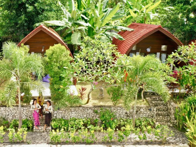 Jungle Paradise