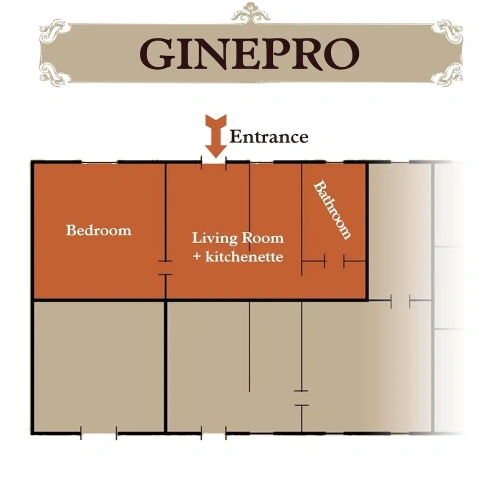 1 Bedroom Apartment with garden view