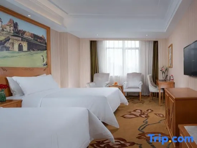 Executive Twin room